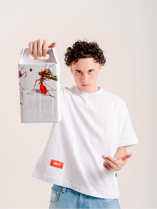 Basic Pack Boxy V2/24 - Anty Brand