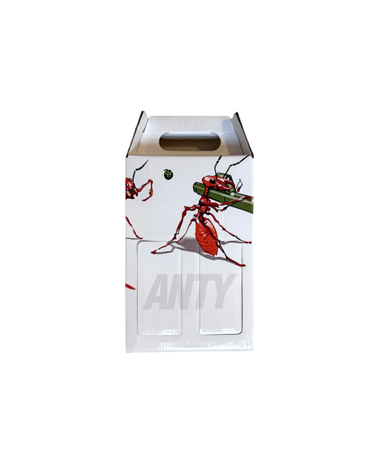 Basic Pack Boxy V2/24 - Anty Brand